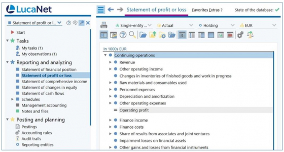 LucaNet including statement of profit and loss at a glance
